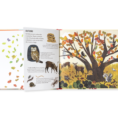 Livro infantil aberto com ilustrações de animais e natureza em cores outonais