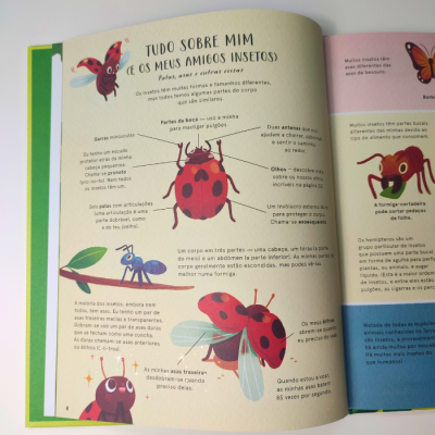 Página de livro infantil ilustrado sobre insetos com texto em português.