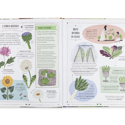 Livro aberto com ilustrações de plantas e textos explicativos em português.