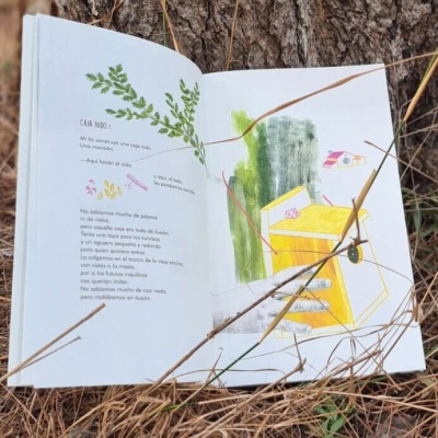 Livro aberto com ilustrações e texto em português encostado a tronco de árvore em relva seca