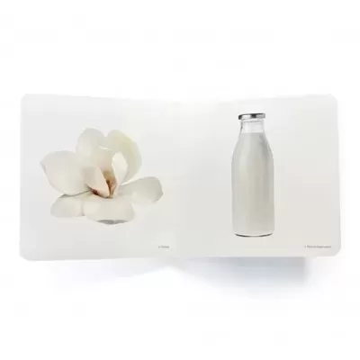 Livro aberto com imagem de flor branca e garrafa de leite