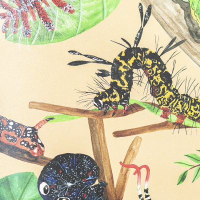 Ilustração de lagartas coloridas e uma rã verde sobre folhas e ramos.