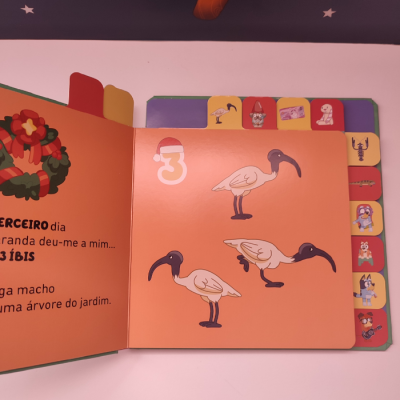 Página laranja de livro infantil com três aves e abas ilustradas coloridas