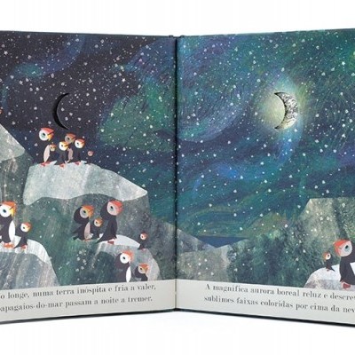 Livro infantil aberto com ilustração de pinguins sob céu estrelado e texto em português.