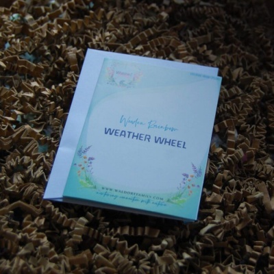 Caixa azul clara com texto Weather Rainbow Weather Wheel rodeada por flores
