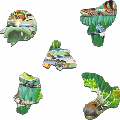 Peças de quebra-cabeça coloridas com imagens de animais e natureza