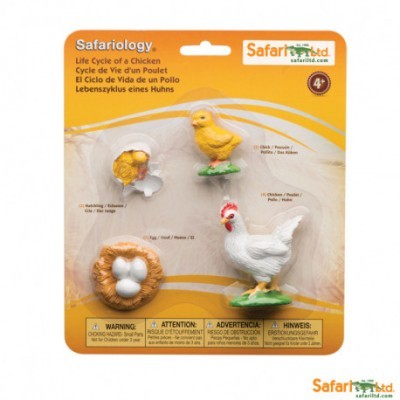 Conjunto educativo ciclo de vida de uma galinha Safari Ltd, com figuras de ovo, pintainho e galinha, embalagem amarela