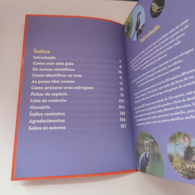 Livro aberto com índice e texto em português sobre aves, fundo azul e texto amarelo e branco