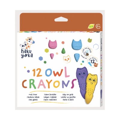 Caixa de lápis de cor em forma de coruja com 12 unidades coloridas