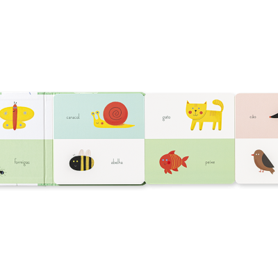 Livro infantil com ilustrações de animais e palavras em português