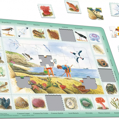Jogo de tabuleiro Larsen Coastal Flora com peças de puzzle e cartas ilustrativas de fauna e flora costeira