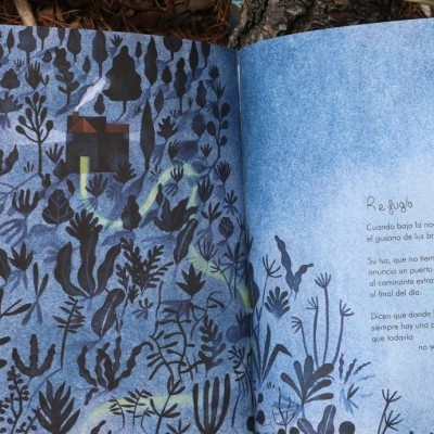 Livro aberto com ilustrações de plantas e texto 'Poção', sobre folhas e ramos no chão