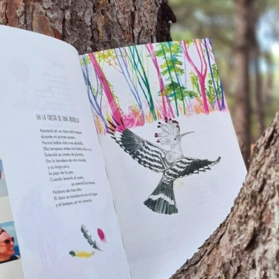 Livro aberto pendurado na árvore com ilustração colorida de pássaro