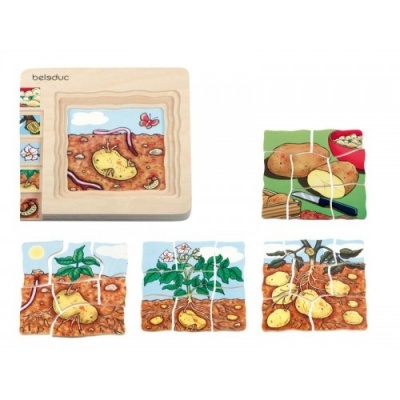 Quebra-cabeças de madeira Belsduc com imagens do crescimento da batata