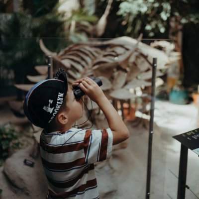 Criança com binóculos em museu com esqueletos de dinossauro