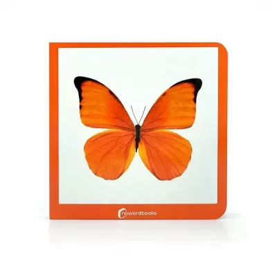 Livro infantil com capa de borboleta laranja