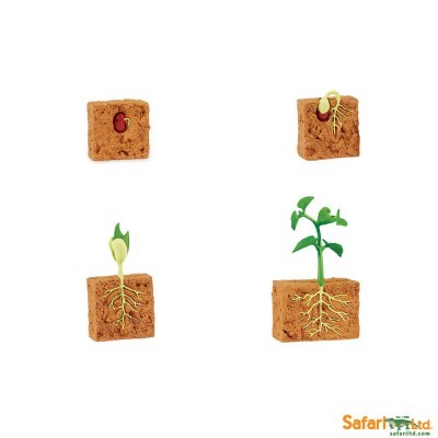 Quatro blocos de turfa mostrando fases do crescimento de uma planta com raízes, em fundo branco, logo Safari Ltd.