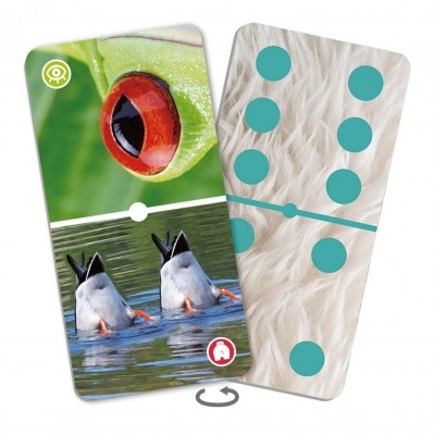 Cartas de dominó visual com imagens de rã e padrões azuis sobre branco.