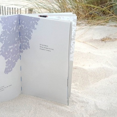 Livro ilustrado aberto na areia branca com ervas ao fundo