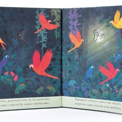 Página aberta de livro infantil com ilustrações de papagaios coloridos e texto em português