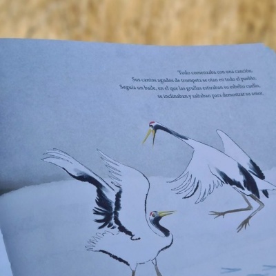 Página aberta de livro com ilustração de aves e texto em português