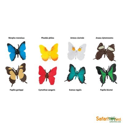 Oito borboletas montadas com nomes científicos em fundo branco e logótipo Safari Ltd.