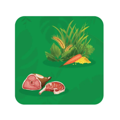 Ilustração de carne, trigo, cenoura e milho sobre fundo verde