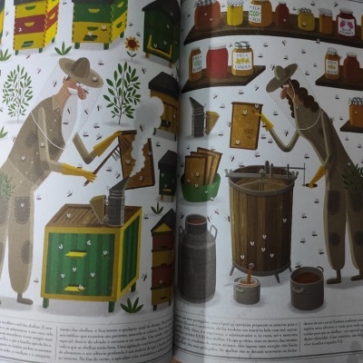 Ilustrações de pessoas a trabalhar com colmeias e coleta de mel em página de livro