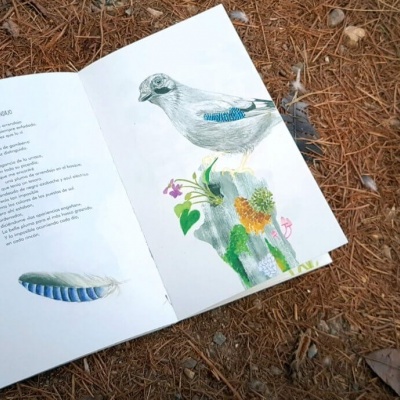Livro aberto com ilustração de pássaro e poema 'PASSARINHO' no chão com folhas secas e pedras.