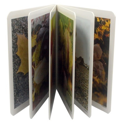 Livro de páginas ilustradas com imagens de folhas de outono