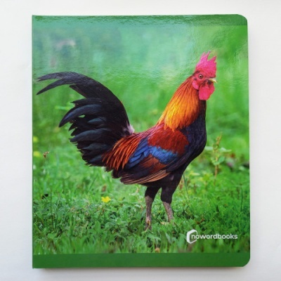 Livro com capa de um galo colorido sobre grama verde