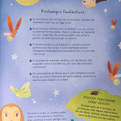 Página de livro com texto sobre pirilampos e ilustrações de insetos e coruja sob fundo azul estrelado