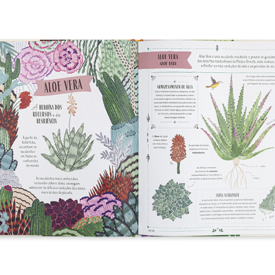 Livro aberto com ilustrações e texto sobre Aloe Vera e plantas suculentas