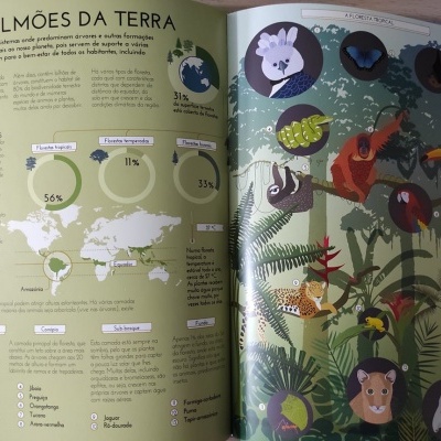 Páginas de livro ilustrado sobre florestas e meio ambiente com mapas, gráficos e desenhos de animais tropicais