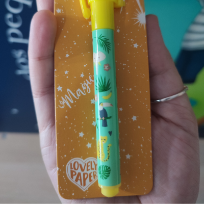 Caneta decorada com animais em cartolina laranja