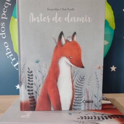 Capa de livro infantil 'Antes de dormir' com ilustração de raposa vermelha e pássaro branco