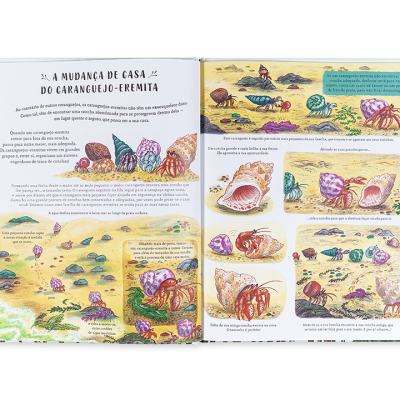 Páginas de livro infantil ilustrado com caranguejos-ermita e texto em português