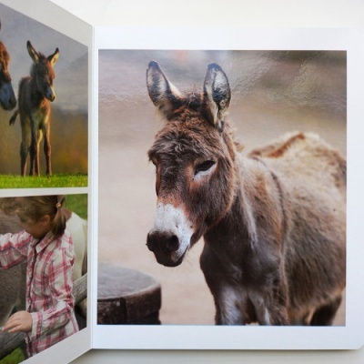 Página de fotolivro com imagem de burro em destaque e outras imagens menores de crianças e burros