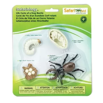 Embalagem Safari Ltd ciclo de vida do escaravelho stag beetle com quatro peças plásticas representando fases
