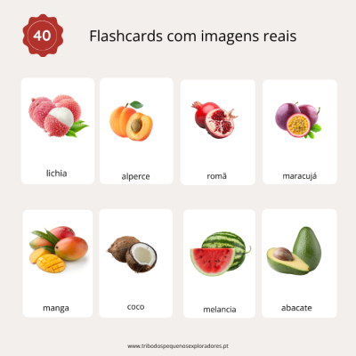 Flashcards coloridos com imagens reais e nomes de várias frutas para crianças