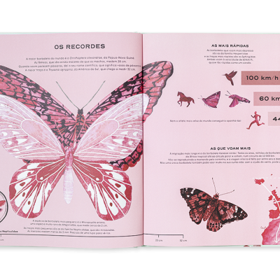 Livro aberto com ilustrações e texto sobre borboletas e velocidades.