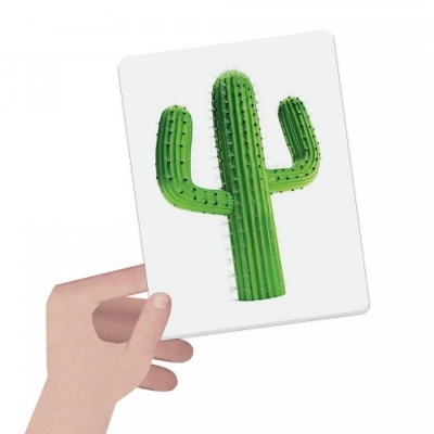 Cartão branco com ilustração em relevo de um cacto verde segurado por uma mão