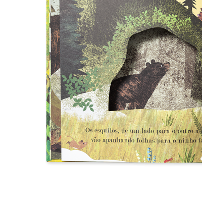 Livro infantil com ilustração de urso e texto em português com floresta ao fundo