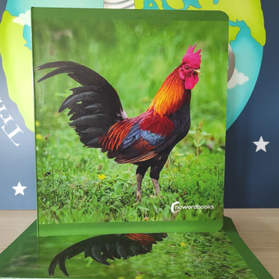 Livro capa rígida com imagem de galo colorido sobre fundo verde e logotipo nowordbooks