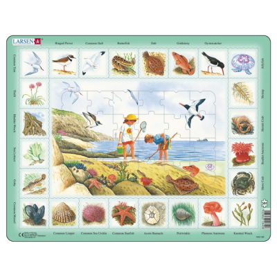 quebra-cabeça Larsen com tema marinho e crianças na praia cercado por imagens de aves marinhas e criaturas do mar