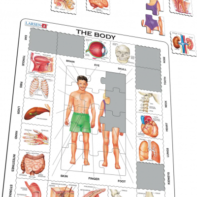 Quebra-cabeça educativo Larsen THE BODY com imagens de partes do corpo humano e peças soltas