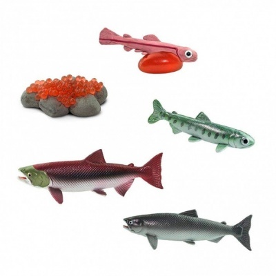 Figuras de plástico de peixes e ovas coloridas