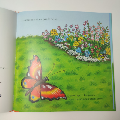 Página de livro ilustrado com borboleta e canteiro de flores com texto em português