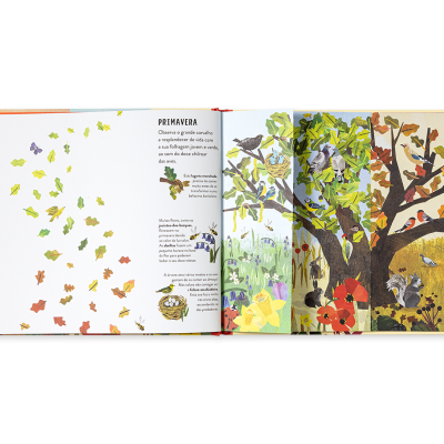 Livro infantil aberto com ilustrações de animais e texto em português