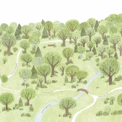 Ilustração de um bosque verde com árvores, rio e caminhos